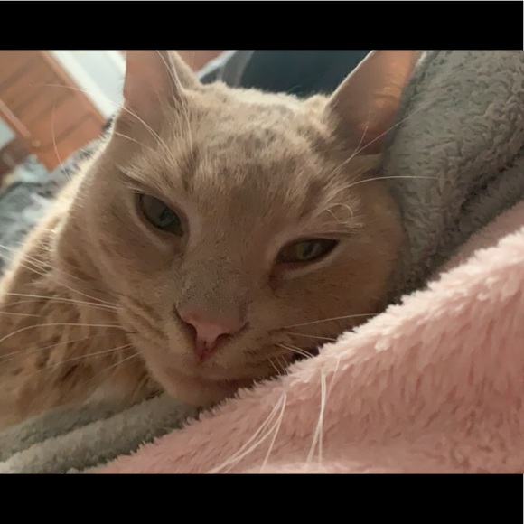 Meet your Posher, Kelly - Picture 1 of 1